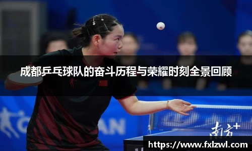 成都乒乓球队的奋斗历程与荣耀时刻全景回顾